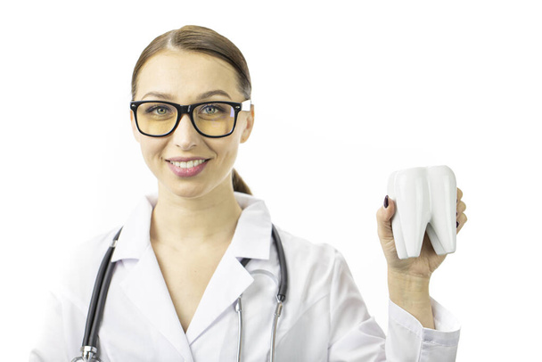 Portrait de jeune infirmière en robe médicale montrant le modèle de dent et le sourire
. - Photo, image