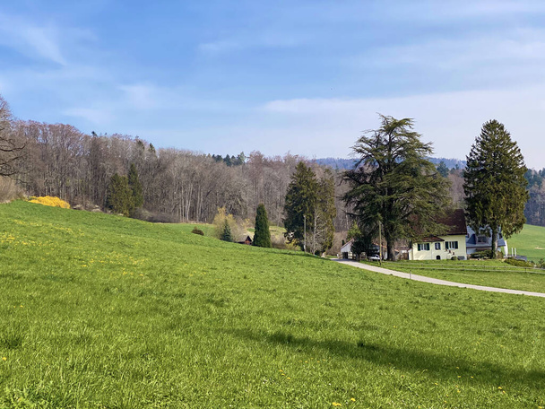 Typowy krajobraz naturalny wczesną wiosną na wzgórzach i pastwiskach nad jeziorem Zurych - Kanton Zurychu lub Zuerich, Szwajcaria (Schweiz) - Zdjęcie, obraz