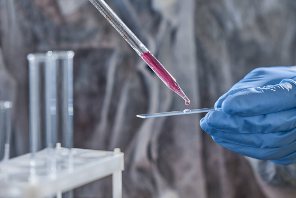 Horizontal shot of scientist working on creating vaccine in laboratory. - Foto, immagini