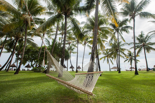 Tropical palm trees and hammock on the background of the ocean. - Fotografie, Obrázek