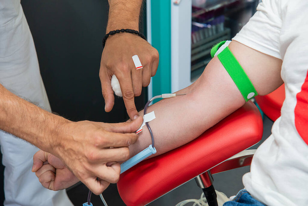Doador de sangue no momento da doação, transfusão. Inserção de uma agulha numa veia
. - Foto, Imagem