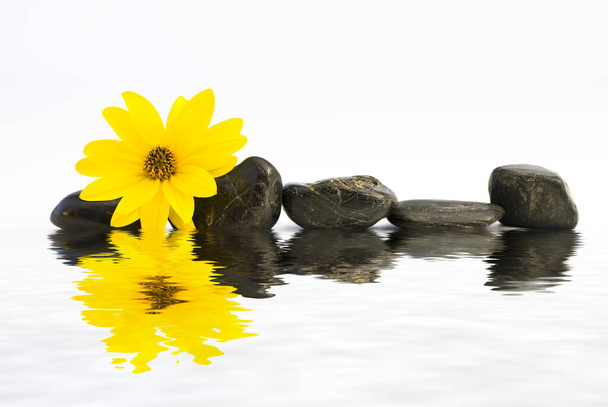 černá kamenná masáž a příroda v relaxační Zen Garden - Fotografie, Obrázek
