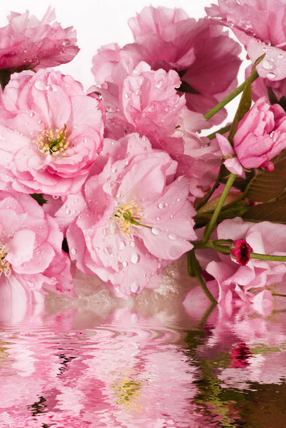 jardim Zen relaxante com botões floridos e pedra de quartzo rosa refletida na água limpa
 - Foto, Imagem
