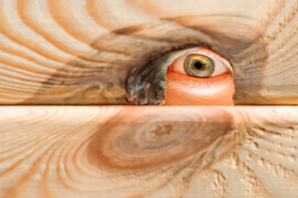 Concepto de espionaje. Espiando, siguiendo, viendo espiando, espiando. Ojo humano mirando en el agujero en la pared de madera. Ojo único mirando desde un agujero en una puerta de madera rústica
 - Foto, Imagen
