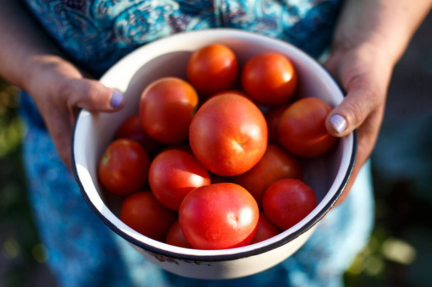 červená cherry rajčata v misce - Fotografie, Obrázek
