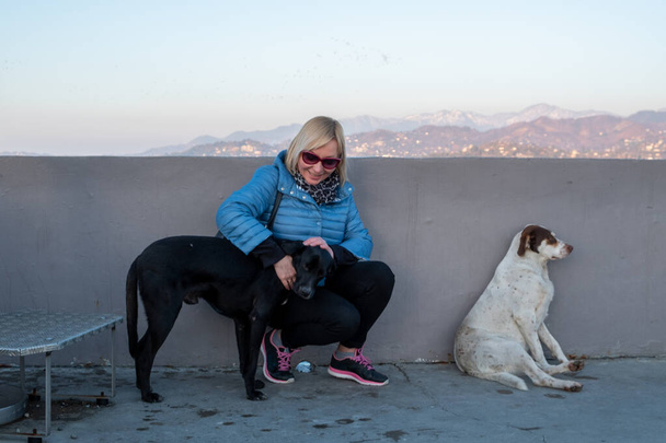 Um cão vadio jaz na avenida. A cidade de Batumi, Geórgia. As autoridades locais registam animais, mantêm registos. Residentes locais alimentam cães
. - Foto, Imagem