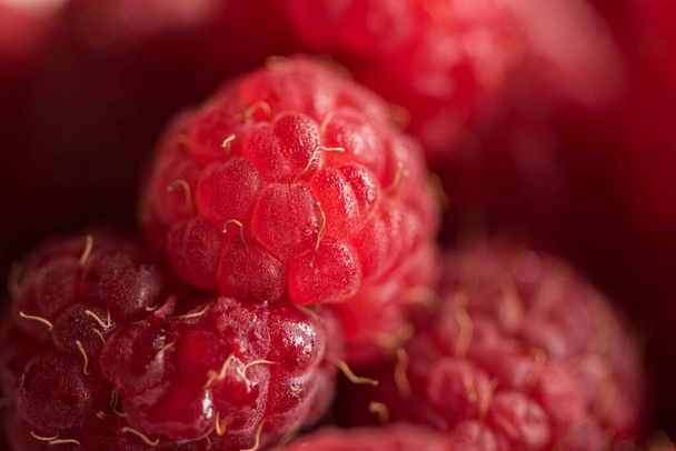 close of fresh organic summer ripe raspberries fileld frame - Photo, Image