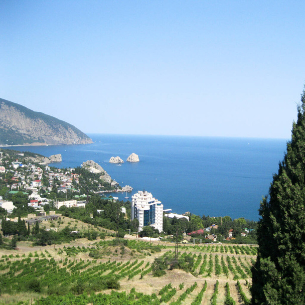Veduta aerea della città di Yalta dalla montagna Ai-Petri in Crimea
. - Foto, immagini
