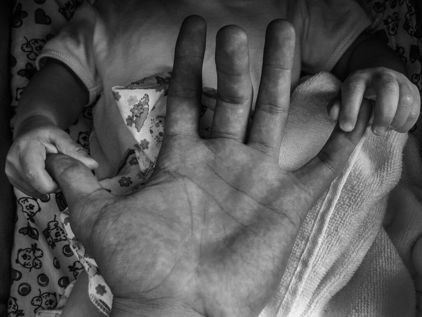 Kid hands holding father's fingers. Black and white. B&W. - Photo, Image