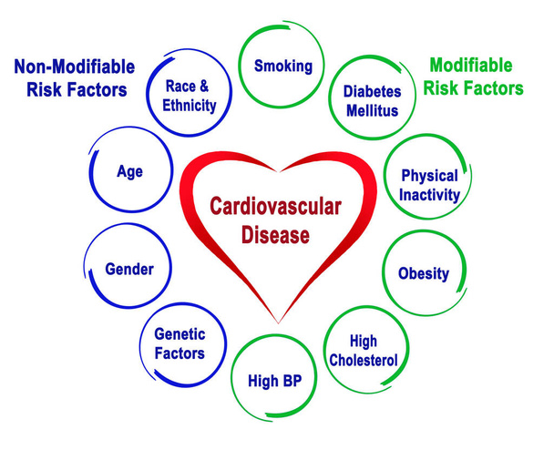Fattori di rischio non modificabili e modificabili per malattie cardiovascolari
 - Foto, immagini