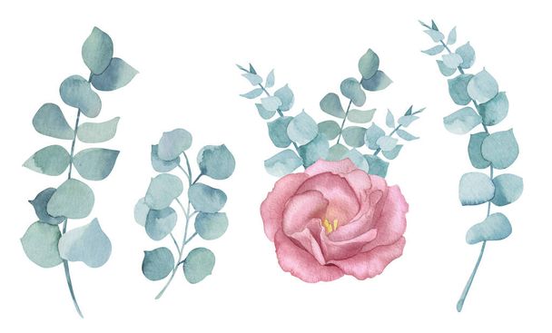 Vintage pink rose watercolour. greeting, invitation, wedding, birthday card. Botanical illustration. Green eucalyptus leaves - Φωτογραφία, εικόνα