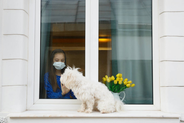 Junges Mädchen blickt aus dem Fenster zu ihrem Hund - Foto, Bild