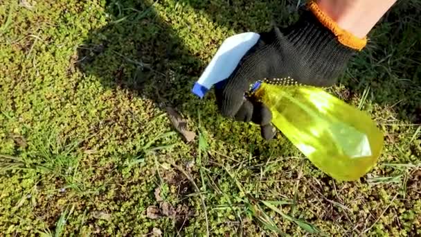 Zahradník ruční sprej v rukavici z plastové žluté láhve postřikovač na zelené trávě. Jarní zahrada pracuje na čerstvém vzduchu videa. - Záběry, video