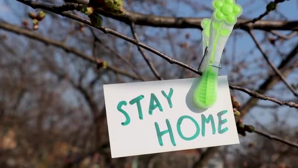 Stay home words on white card hanging with green flower landry pin on sunny spring tree and blue sky background. Wind sways reminder. Risk prevention safety stay info - Footage, Video