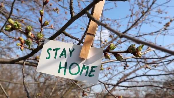 Bleiben Sie zu Hause Worte auf weißer Karte hängen mit grünen Blume Landry Pin auf sonnigem Frühlingsbaum und blauem Himmel Hintergrund. Wind wiegt Mahnung. Informationen zur Risikoprävention - Filmmaterial, Video
