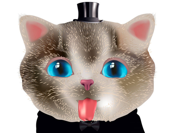 Cute little kitten in top hat and bow tie shows tongue. - Vector, Image