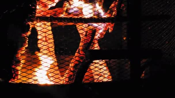 Záběry z krbu, ve kterém hoří kláda - Záběry, video