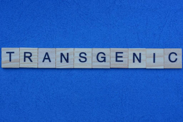  palabra transgénica hecha de letras grises se encuentra sobre un fondo azul
 - Foto, imagen