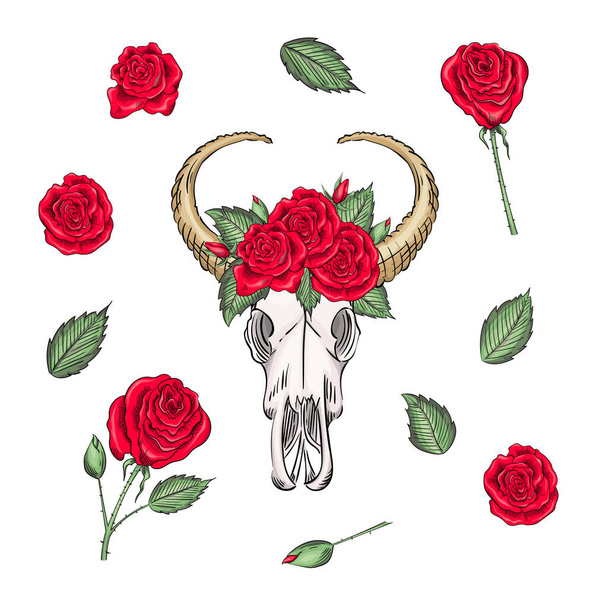 Cráneo de buey místico occidental vector bohemio, flores de rosas estampadas y cuchillos. cabeza bohemia de búfalo, animal de época occidental
. - Vector, imagen