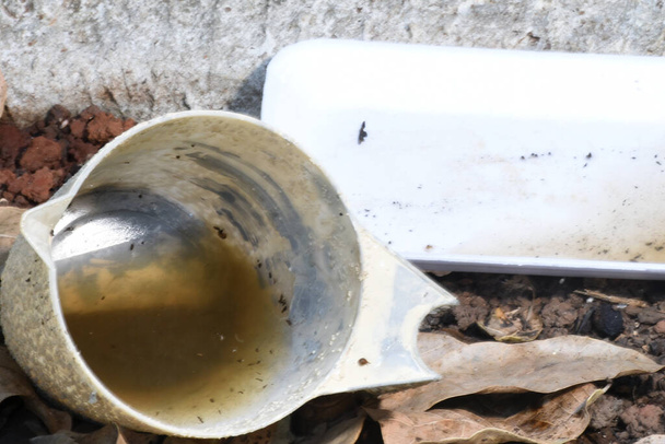 πλαστικό μπολ εγκαταλειφθεί σε ένα βάζο με στάσιμο νερό μέσα. από κοντινή απόσταση. κουνούπια σε δυνητικό έδαφος αναπαραγωγής - Φωτογραφία, εικόνα