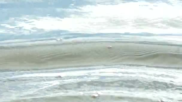 Blick auf das Teichwasser - Filmmaterial, Video