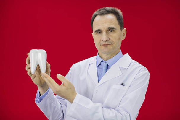 Портрет стоматолога с зубной моделью, выделенный на красном фоне
 - Фото, изображение