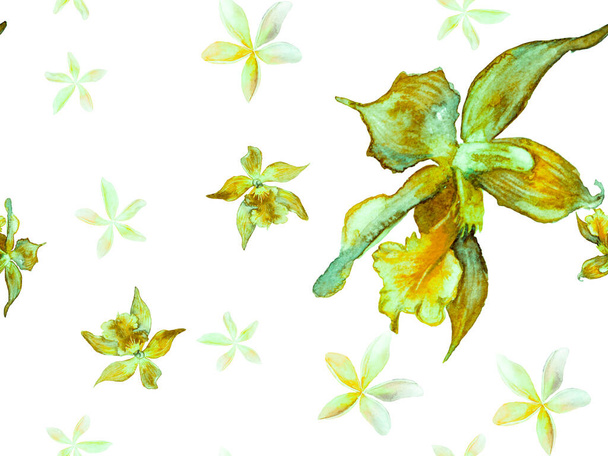 Orchid Seamless Pattern. - Photo, Image