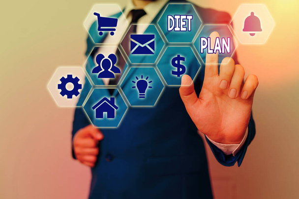 Conceptual hand writing showing Diet Plan. Business photo showcasing detailed proposal for doing or achieving a heathy eating habit. - Photo, Image