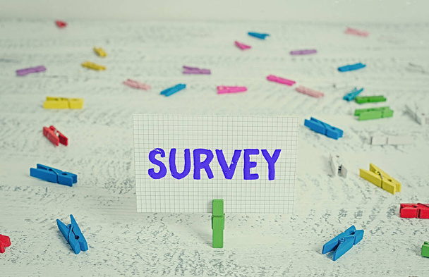Text sign showing Survey. Conceptual photo research method used for collecting data from a predefined group Green clothespin white wood background colored paper reminder office supply. - Photo, Image