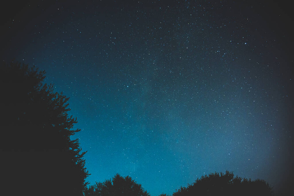 Noční obloha plná hvězd v Britské Kolumbii Kanada - Fotografie, Obrázek
