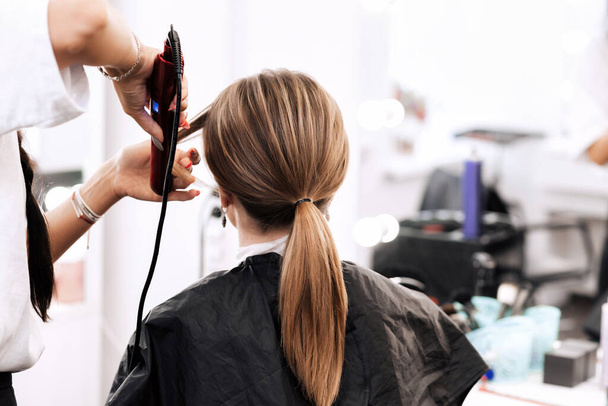 hairdresser does a tail hairstyle for a woman with long brown hair - Foto, afbeelding