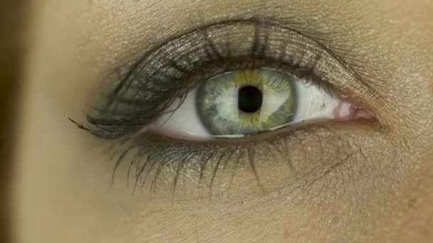 Un ojo femenino con lágrimas y maquillaje mira a la cámara, la pupila se estrecha. Primer plano
 - Metraje, vídeo
