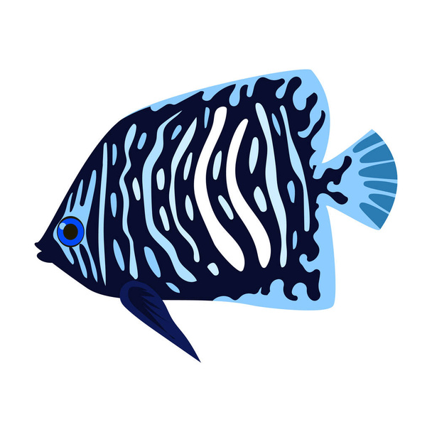 Tropical fish vector icon.Cartoon vector icon isolated on white background tropical fish. - Vektori, kuva