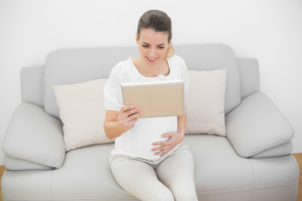 Cheerful pregnant woman holding her tablet - Foto, immagini
