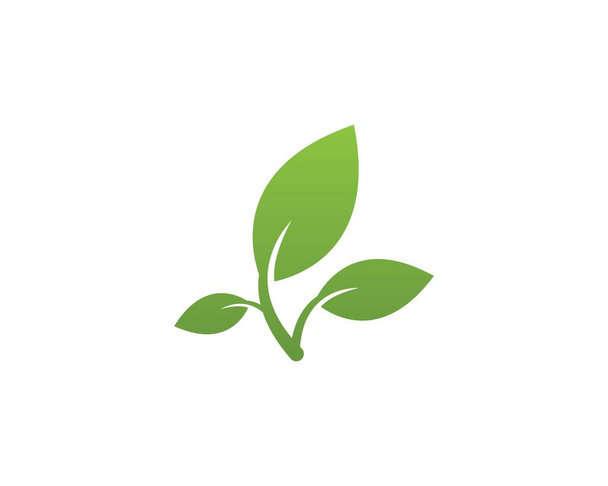 Szablon projektu logo liści natury - Wektor, obraz