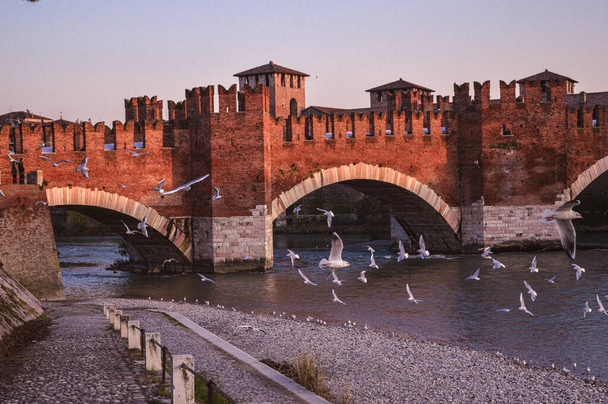 Gün batımında uçan martılarla Ortaçağ Scaliger Köprüsü. - Fotoğraf, Görsel