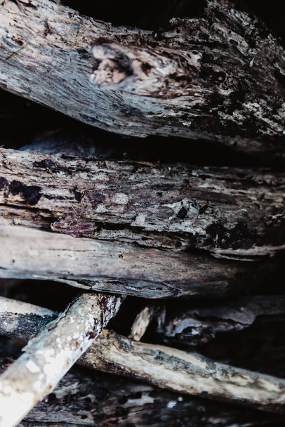 wooden sticks, firewood, wooden background - Foto, Imagem