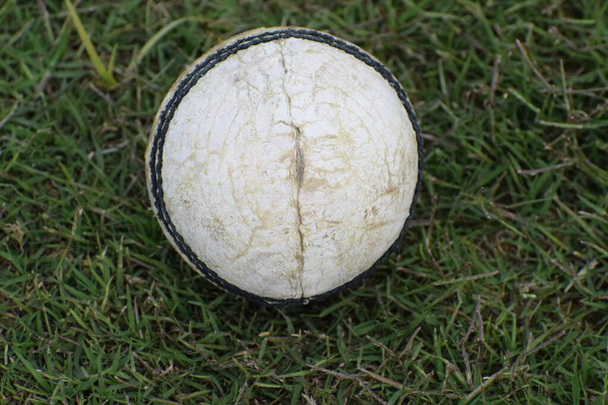 Foto eines weißen Leder-Cricket-Ball mit gestickten Nähten auf Gras, Cricket-Ball auf grünem Rasen mit Kopierraum, Close up Cricket-Ball auf dem Spielfeld mit Kopierraum - Foto, Bild