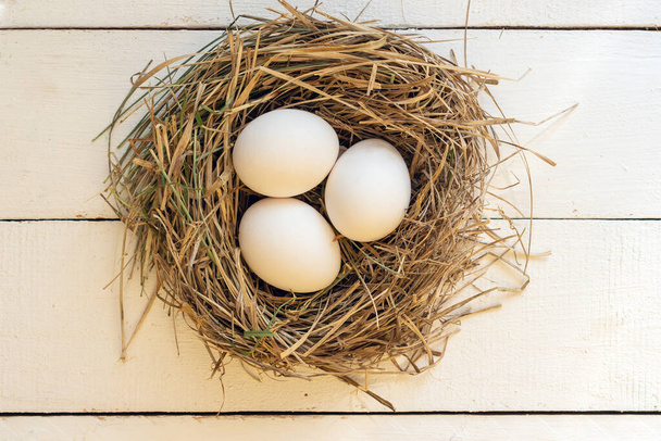 Three white chicken eggs in a nest. - 写真・画像