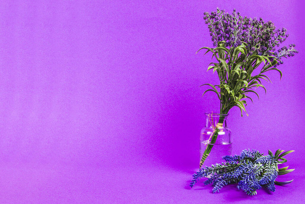 Čerstvé levandulové květy ve skleněné váze na fialovém pozadí - Fotografie, Obrázek
