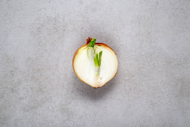 Fresh onion on a gray stone. Background, illustration for advertising, recipes or cookbook. - 写真・画像