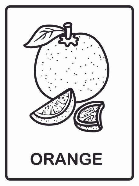 Orange vector illustration - vector fruit to coloring - Vector, Image