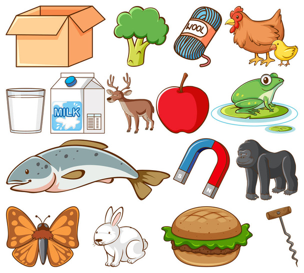Большой набор различных продуктов питания и других предметов на белом фоне иллюстрации - Вектор,изображение
