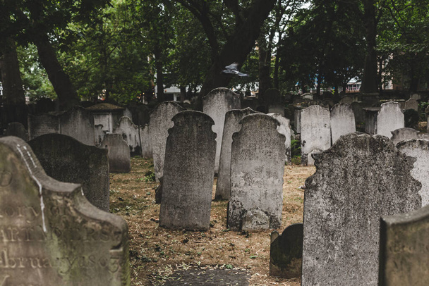 Lápidas en Bunhill Fields, que es un antiguo cementerio en el centro de Londres. Una lápida, lápida o lápida es una estela o marcador, generalmente piedra, que se coloca sobre una tumba
 - Foto, Imagen