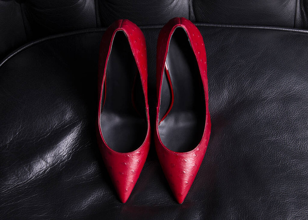 Women shoes. A pair of red shoes top view. Pointed-toe high-heeled shoes. - Fotografie, Obrázek