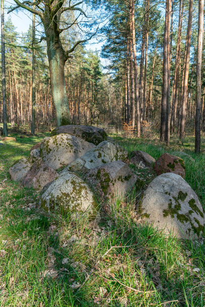 Prehistoric megalith stones along the famous "Graeberweg" near Haldensleben in Germany - Φωτογραφία, εικόνα