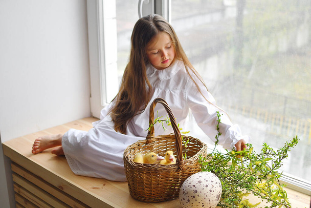 Yellow fluffy ducklings.Cute girl play with real rabbit and duckling. toddler girl playing with animal .Happy easter concept - Foto, afbeelding