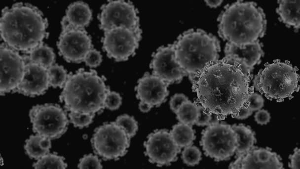 Vírusok, vírussejtek mikroszkóp alatt, lebegnek folyadékban sötét háttérrel. A kórokozók baktérium és vírus, mikroorganizmusokat okozó betegség. COVID-19. Koronavírus. 3D-s hurkos animáció - Felvétel, videó