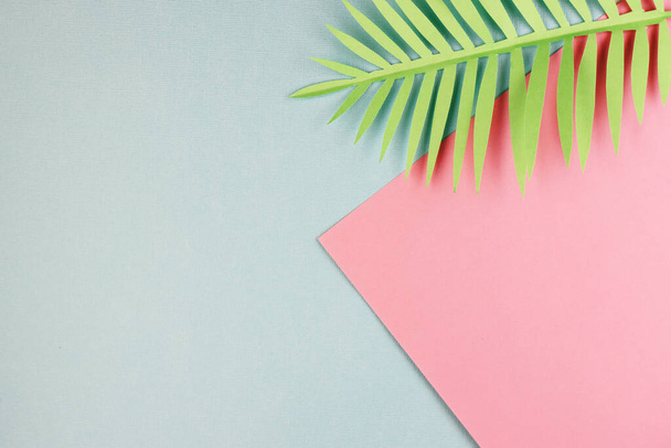 green leaves of exotic plants at the top of the page. blue and pink exotic background. summer background with palm leaves in pastel colors - Photo, image