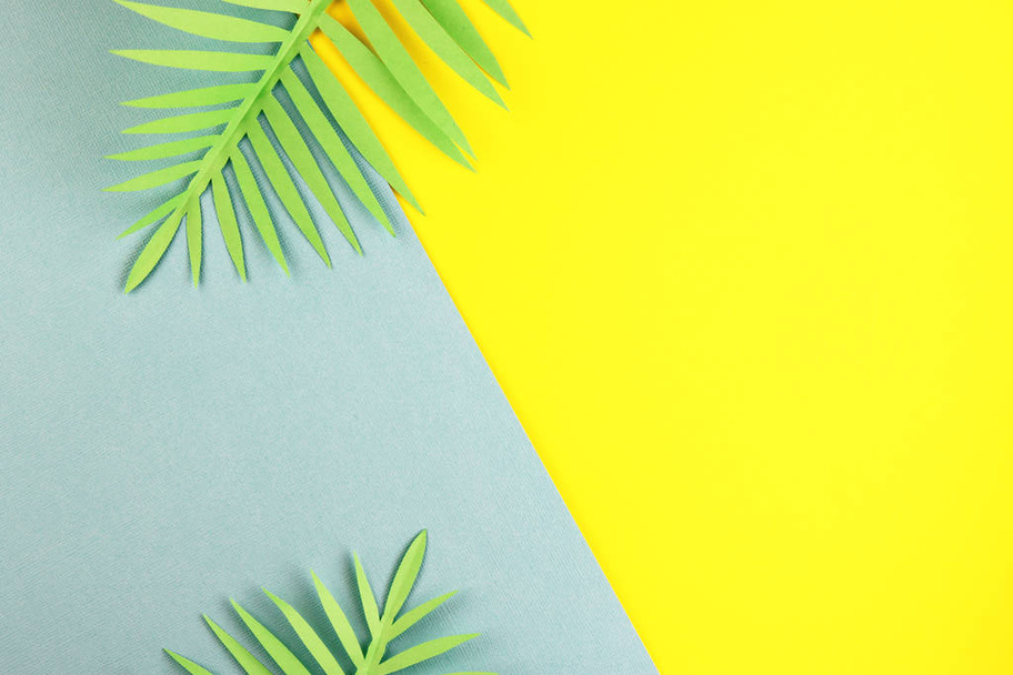 various tropical leaves on a yellow and blue background, top view. exotic background with paper green leaves - Фото, изображение